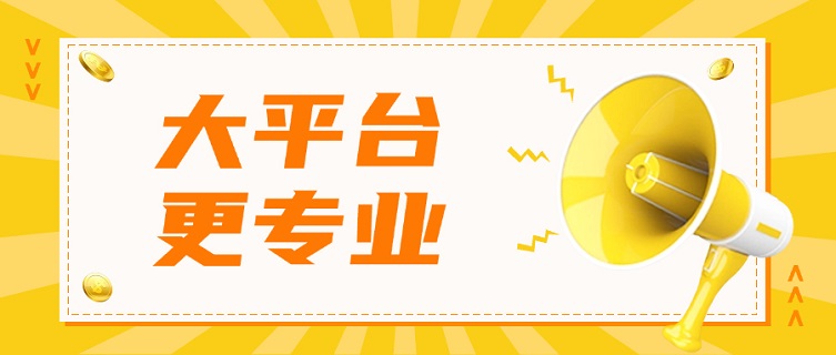 信誠信大數(shù)據(jù)信用查詢平臺，個人大數(shù)據(jù)信用精準(zhǔn)查詢檢測！